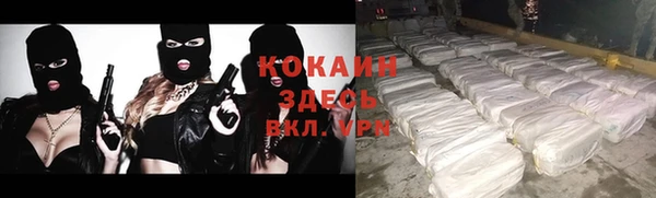 индика Алексеевка