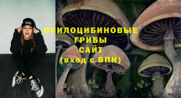 дживик Алзамай