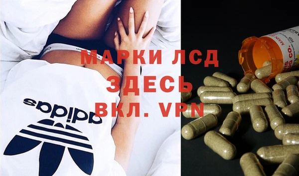 дживик Алзамай