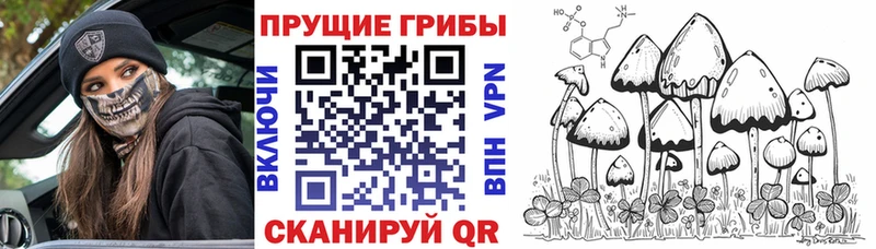 наркошоп  Туринск  даркнет какой сайт  Галлюциногенные грибы MAGIC MUSHROOMS  omg рабочий сайт 